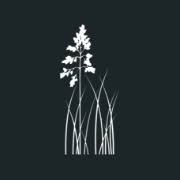 Sweetgrass Properties logo