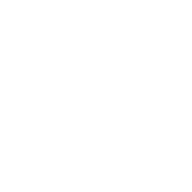 Geneblitz logo