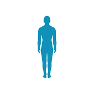 Bodygrid Therapy logo