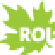 Roirecreation logo