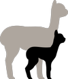 Pukkapacas logo