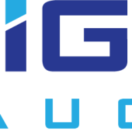 Ignite Domestic logo