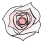 Whiteroseblinds logo