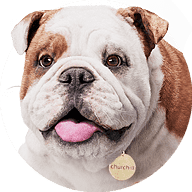 Churchill logo