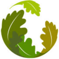 Tree Check Arboriculture logo
