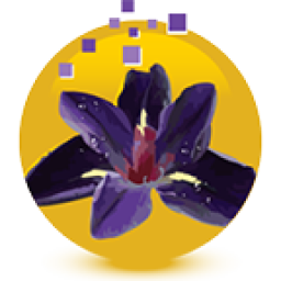 Iris Web Designs logo