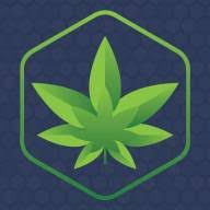 CBD Embrace logo
