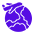 Economyflights logo