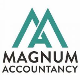 MAGNUM ACCOUNTANCY LTD logo