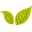 Clipper Teas logo