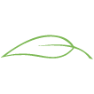 GreenChem Industries logo