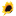 The Coaching Tools Company logo