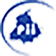 punjabinsurance.ca logo