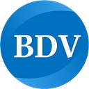 BDV Solutions logo