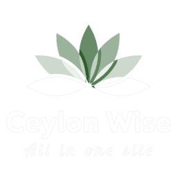 Ceylonwise logo