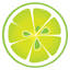 Lime Kitchen and Bathroom logo