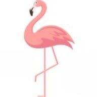Flamingo Prints logo