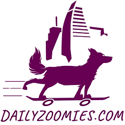 Daily Zoomies logo
