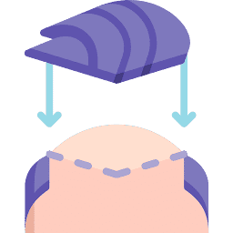 Best Hair System logo