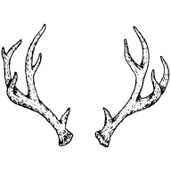 Twig & Vine Photography logo