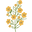 Thecottagecore logo