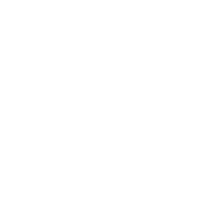 mstrwatches.com logo