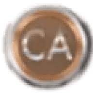Battersea Helicopter logo