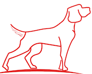 charliecreativelab.com logo