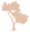 Silk Oil of Morocco logo