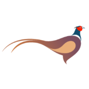 The Pheasant Brill logo