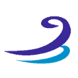 BFS Accountants logo