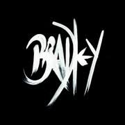 terrybradley.com logo