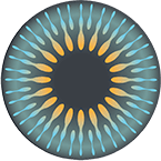 Best Practice Eyecare logo