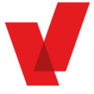 vMobility Group logo