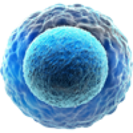 Cell Regeneration Ltd logo