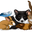 Harmony Pet Supplies logo