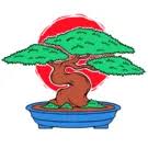 Miyagibonsai logo