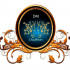 Dm Chauffeurs logo