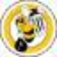 BumbleBee Junk logo