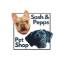 Sash & Pepps Ltd logo