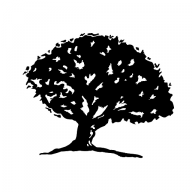 Earthy Timber logo