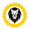 Rebellion Solar logo