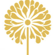 Dandelion Therapeutic Support logo