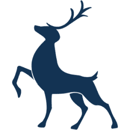 Sussex Campervans logo