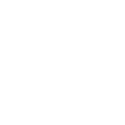 theironwilled.com logo