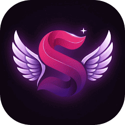 Silv Market logo