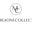 Maryangelhighfashion logo