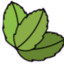 Ginseng Tang Ltd logo