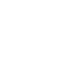 Lethal Cheats logo