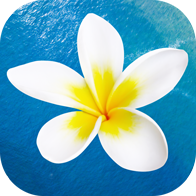 Hawaii Activities - VELTRA logo